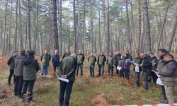 Sağlıklı ormanlar için ekipler sahaya indi