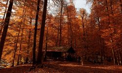Yedigöller Milli Parkı ziyaretçi akınına uğradı