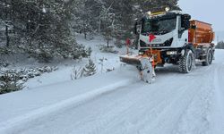 Bolu’da kar seferberliği: Kapalı köy yolu yok