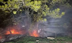 Bolu’da ormanlık alanda yangın