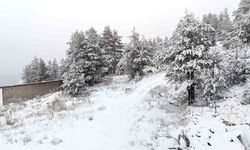 Bolu’nun yükseklerinde kar yağışı etkili oluyor