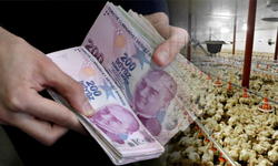 Ruhsatsız İnşaatlara 8 Milyon TL Ceza!