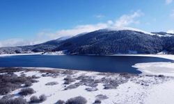 Abant Gölü'nde kış güzelliği