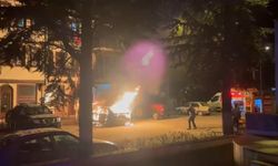 Bolu’da park halindeki otomobil alev alev yandı