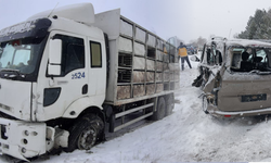 Bolu'da kamyon ile hafif ticari araç çarpıştı: 2 yaralı