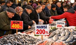 Bolu’da Balık Fiyatları Çakıldı: 400 Liradan 200 Liraya Geriledi, Tezgâhların Önü Doldu Taştı