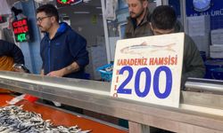 Bolu'da hamsi bolluğu sürüyor: Kilosu 200 liradan rağbet gördü