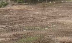 Ormanlık alanı çöplüğe çevirdiler