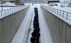 Bolu da Operasyon Kapsamında: Sahte Araç Kiralama Siteleriyle Milyonluk Dolandırıcılık