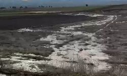 Gerede Havzası'ndaki kirlilik nedeniyle ASKİ'ye 2 milyon lira ceza