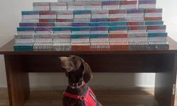 Bolu’da Kaçakçılığa Büyük Darbe: 36 Bin Elektronik Sigara Kiti Ele Geçirildi