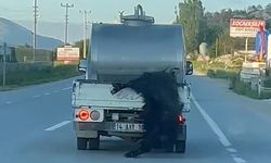 Sosyal Medyada Tepki Çeken Görüntüye 31 Bin Liralık İşlem