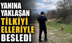 Yanına yaklaşan tilkiyi elleriyle besledi