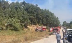 Kızılağıl’da Orman Yangını Paniği! Gökyüzünü Duman Kapladı