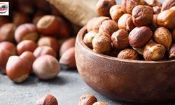 Taşkesti’de Fındık Alımı İçin Randevu Dönemi Başladı