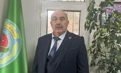 Bolu’da Patates Pazarı Her Cumartesi Gece Açılacak