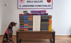 Bolu’da yolcu otobüslerinde kaçak tütün operasyonu