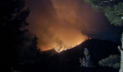 Bolu'da orman yangını hala devam ediyor. Bölgeden sıcak görüntüler.