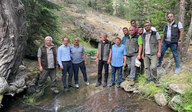 Bolu Dörtdivan’da alabalık bereketi