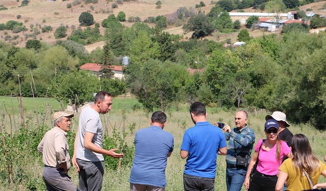 Bolu İl Tarım Müdürlüğü Agroekolojik  tarım projesine devam ediyor