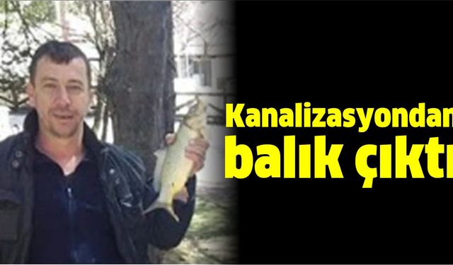 Kanalizasyondan balık çıktı