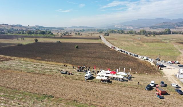 Bolu’nun yeni gözdesi, 3 yılda üretim 2 katına çıktı