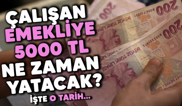 Çalışan emeklilere 5000 TL ikramiye için takvim belli oldu - İşte beklenen tarih