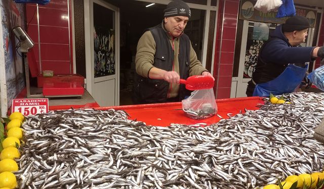 Bolu Pazarında Fiyatlar Yükseliyor: Hamsi Cep Yakıyor!