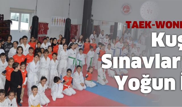 TAEK-WONDO ‘da Kuşak Sınavlarına Yoğun İlgi…