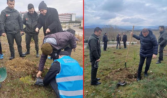 Adalet Ormanı’na 80 Fidan Dikildi: Kamu Yararı ve Doğaya Katkı Devam Ediyor