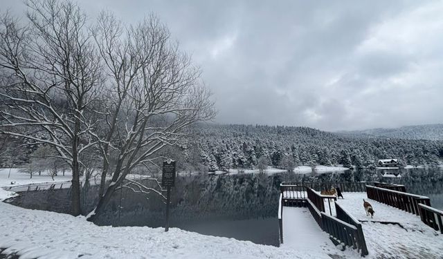 Bolu'nun Gözdesi Gölcük Tabiat Parkı Karla Dans Ediyor