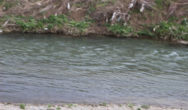 Bolu'nun Önemli Su Kaynaklarından Büyüksu Deresi'nde Çevre Sorunu
