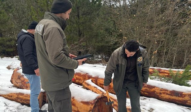 Mudurnu'da İlk Barkodlu Orman Emvali İhalesi