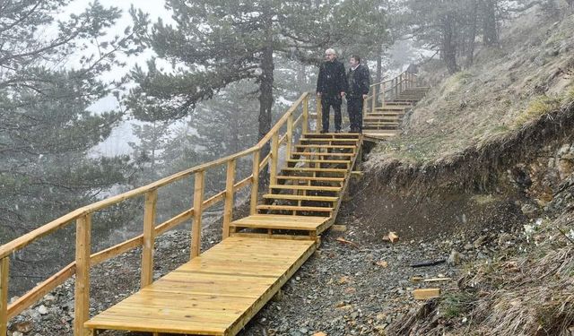 Vali Kılıç, Ayıkayası Tabiat Parkında incelemelerde bulundu