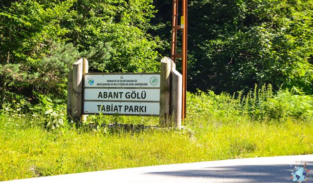 Abant Gölü Milli Parkı 2024 Giriş Ücretleri açıklandı. Fiyatlar Dudak uçuklattı