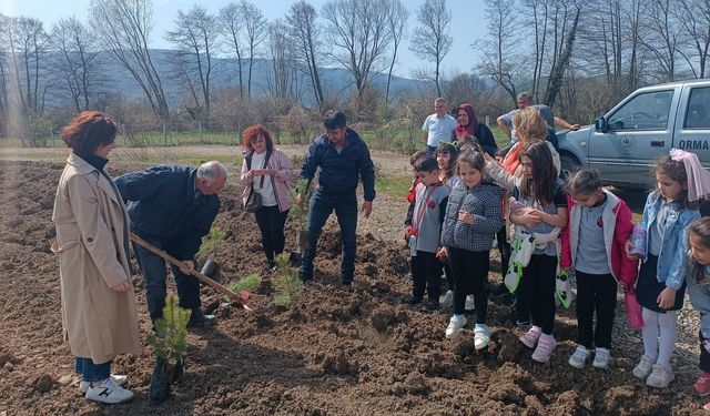 Bolu Sakarya İlkokulu 2B Sınıfından Orman Haftası Etkinliği: Fidanlık Ziyareti ve Tohum Ekimi