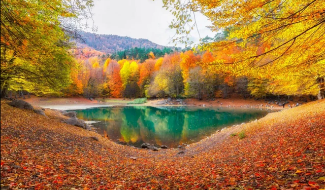 Bolu ve Batı Karadeniz Bölgesi Turizm Potansiyeli 4 Mevsim Hazır