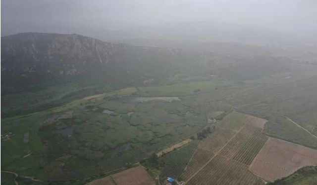 Çöl tozları 'bereket' getirir mi: 'Gökten gübre yağıyor'