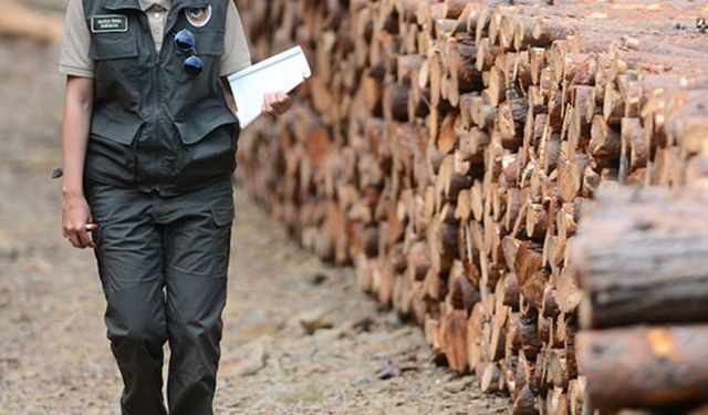 Orman Genel Müdürlüğü Personel Alımı Yapacak