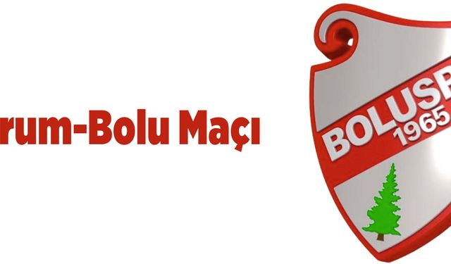 Bodrum-Bolu Maçı