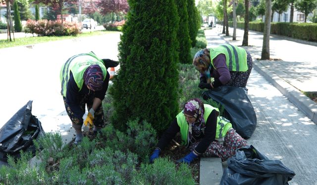 Bolu Belediyesi ekiplerinin zorlu mesaisi başladı