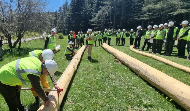 Mudurnu'da Orman Üretim ve Standardizasyon Tatbikatı Gerçekleştirildi