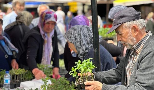 Yerli fide satışı başladı