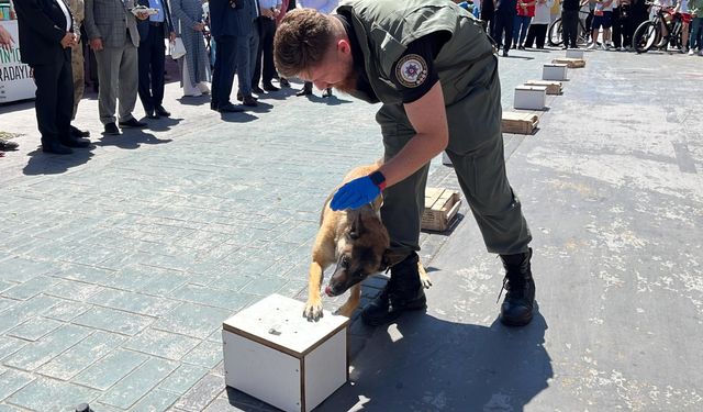 Hassas burnunun bulamayacağı şey yok!