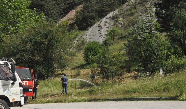 Kamyonun yolculuğu felaketle sonuçlandı: Direk söküldü, yangın çıktı