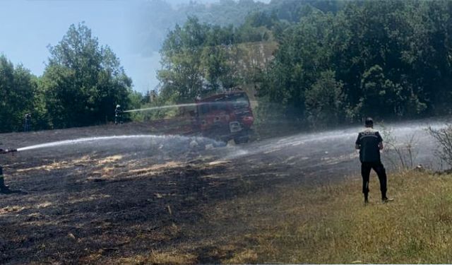 Ot biçme makinesinden sıçrayan kıvılcım tarlayı yaktı