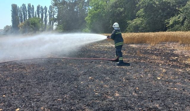 Bolulu çiftçinin 1 yıllık emeği küle döndü