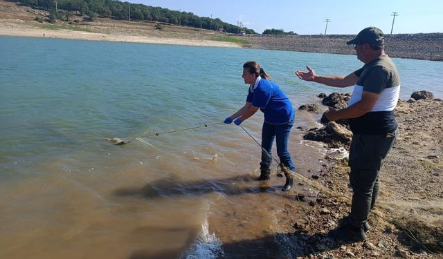 Av yasağı kalktı: Gölde kaçak ağ bulundu