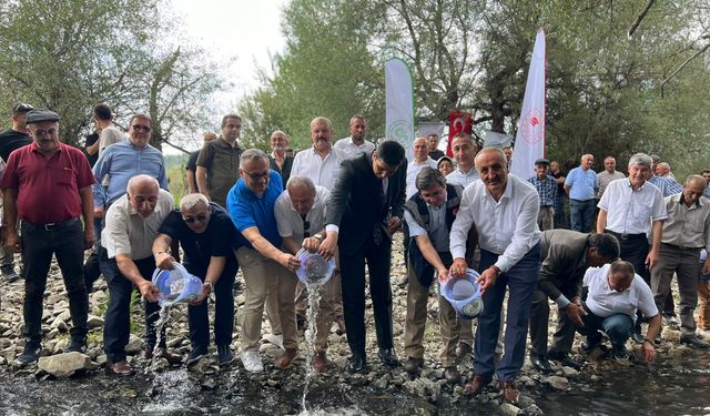 Bolu’da yetişiyor, ülkenin dört bir yanına gönderiliyor