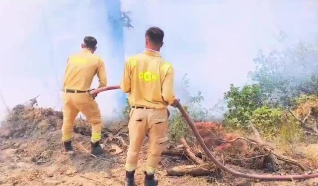 Bolu'daki orman yangını 3'ncü gününde